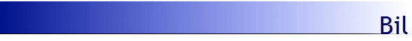 Bil